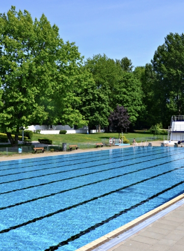 Langes Freibadbecken mit Wiese und Bäumen im Hintergrund.