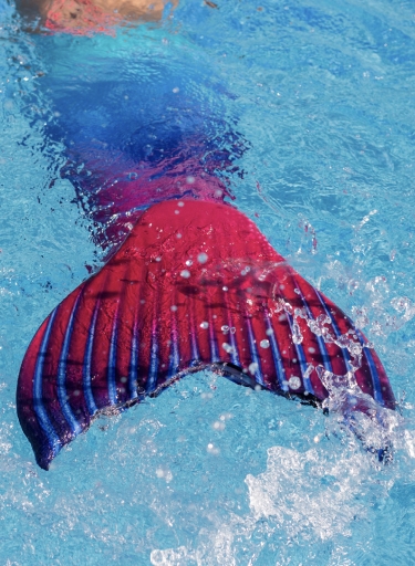 Meerjungfrauenflosse im Wasser