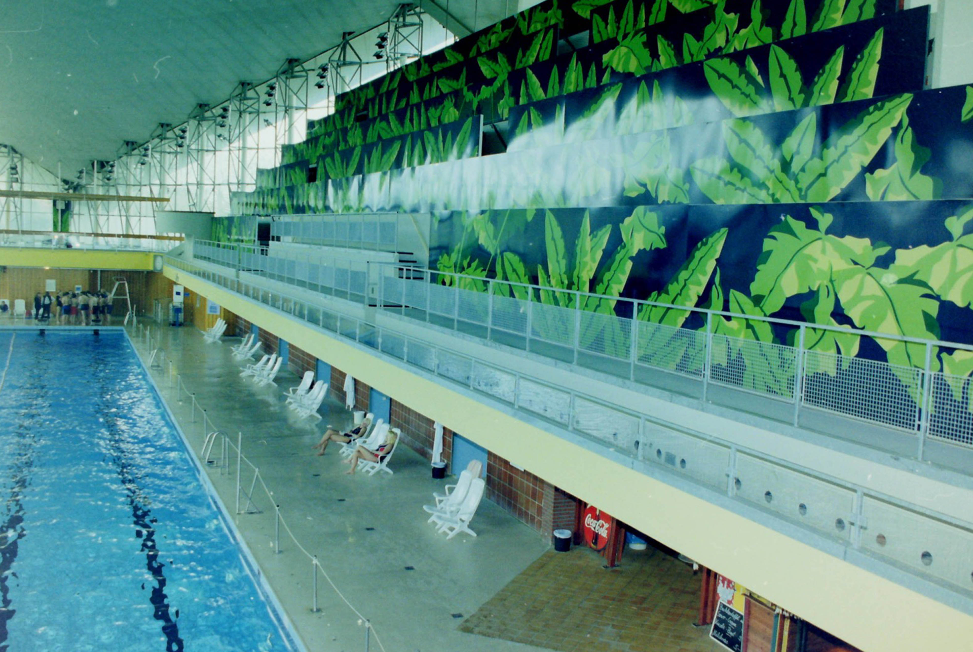 Blick auf ein Schwimmbecken in der unteren Ebene. Die ebene Darüber verzieren Palmenblätter die Wände
