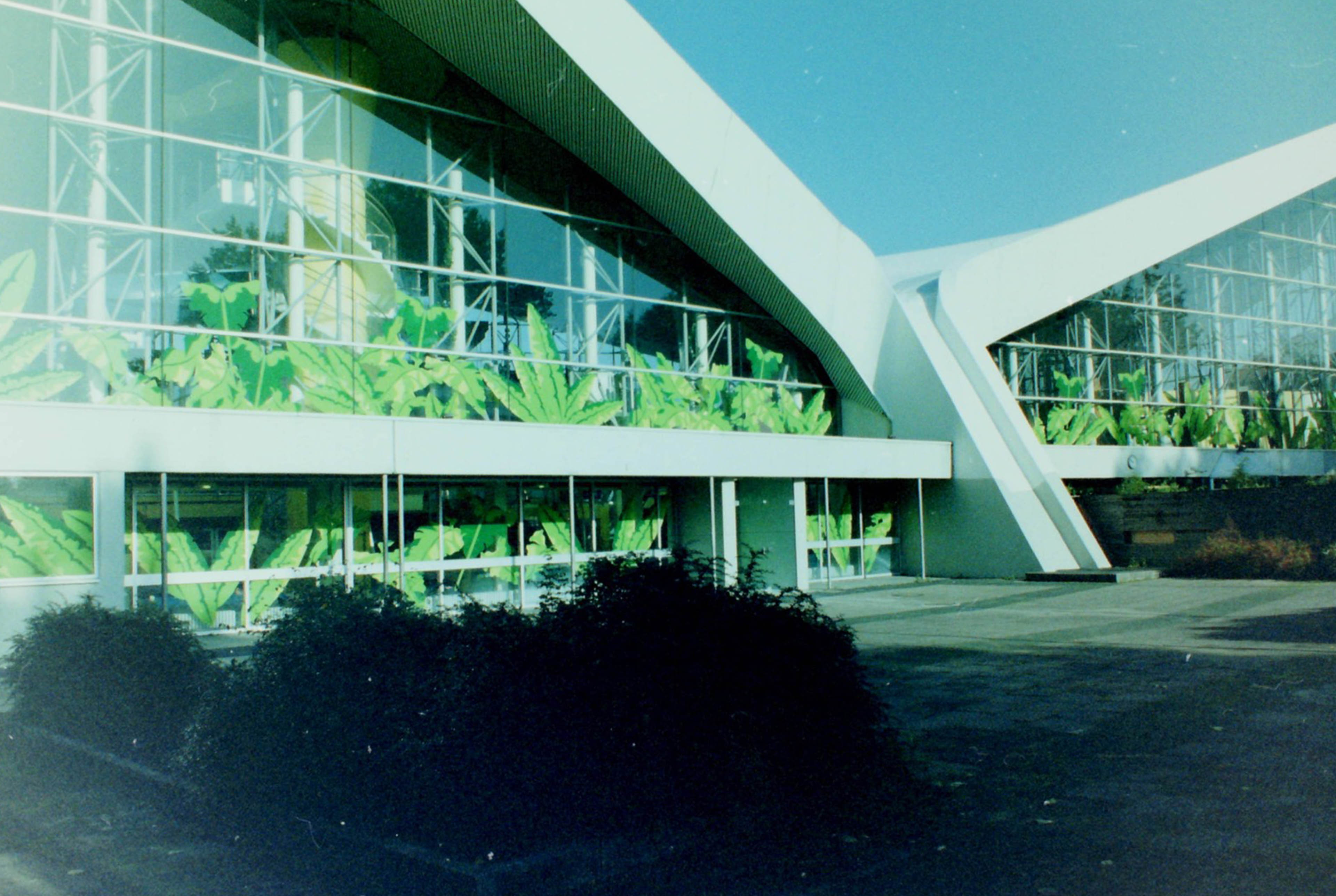 Glasfront eines Schwimmbeckens mit Palmenblätter-Motiven beklebt