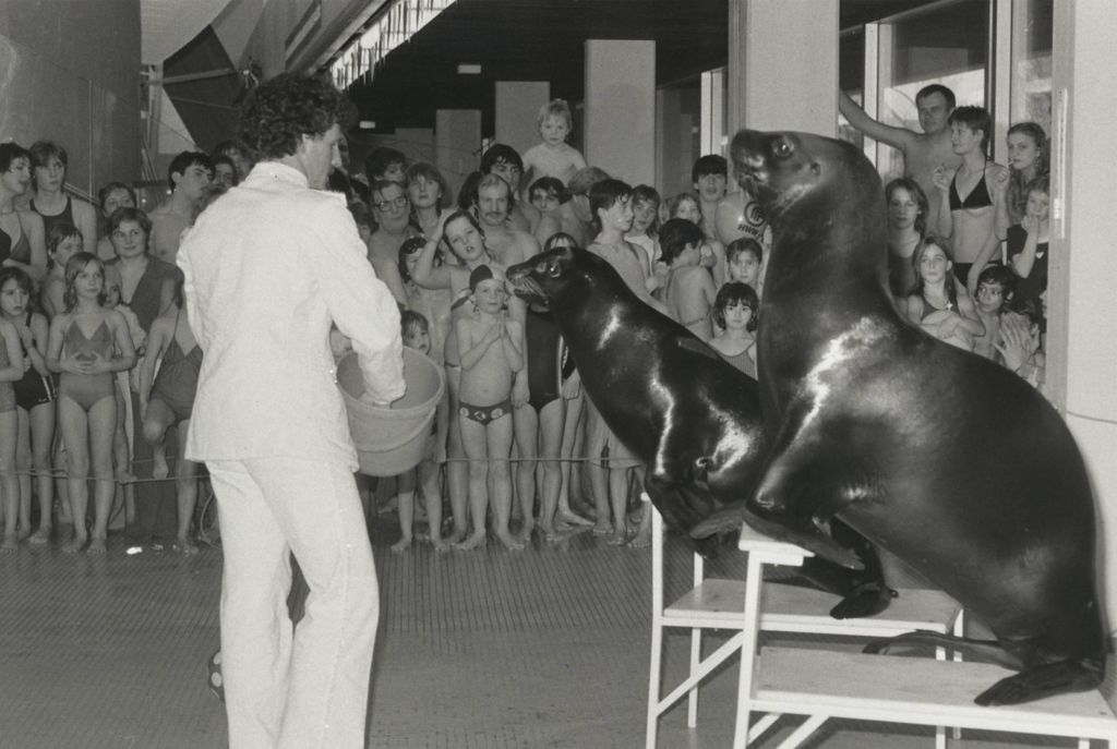 eroeffnungs-seehunde-alster-schwimmhalle_1.jpg