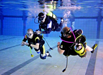 Schwimmhalle Inselpark - Taucher im Sportbecken