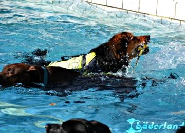 Freibad Marienhöhe - "Hund im Freibad" nach der Saison