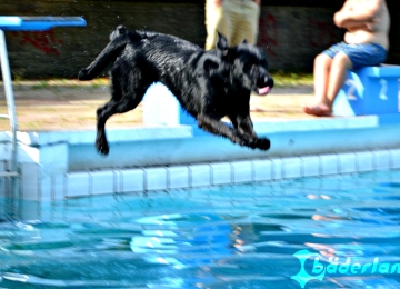 Freibad Marienhöhe - "Hund im Freibad" nach der Saison