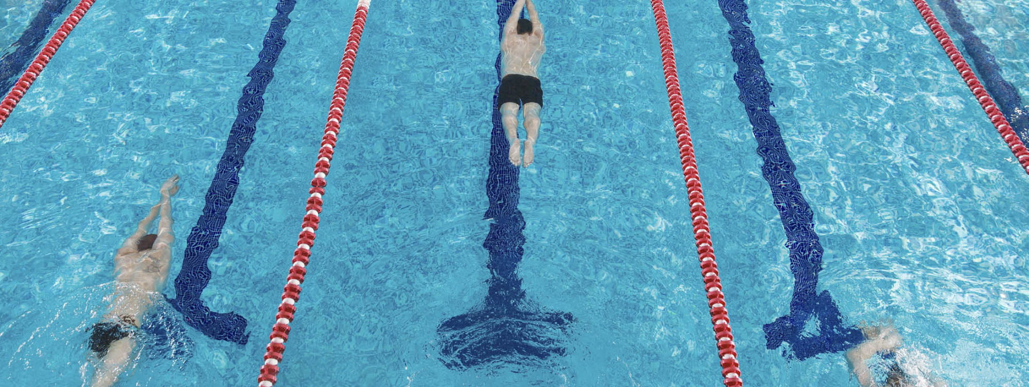 Becken von oben mit Menschen auf verschiedenen Schwimmbahnen