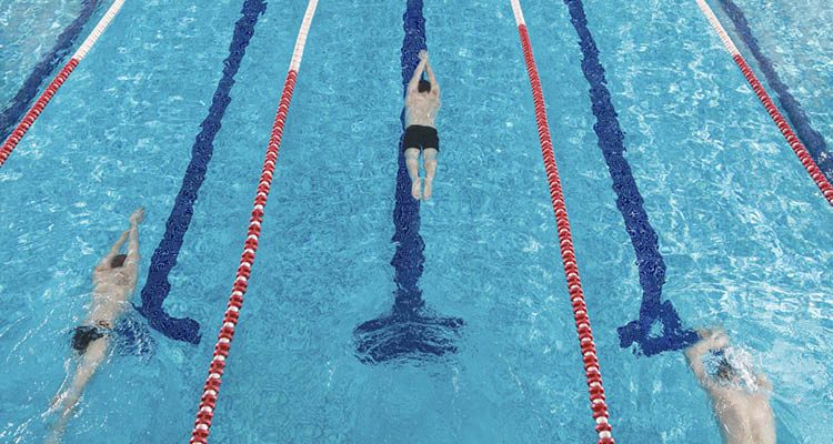 Becken von oben mit Menschen auf verschiedenen Schwimmbahnen