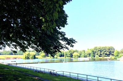Schattige Liegewiese im Sommer am Stadtparksee.